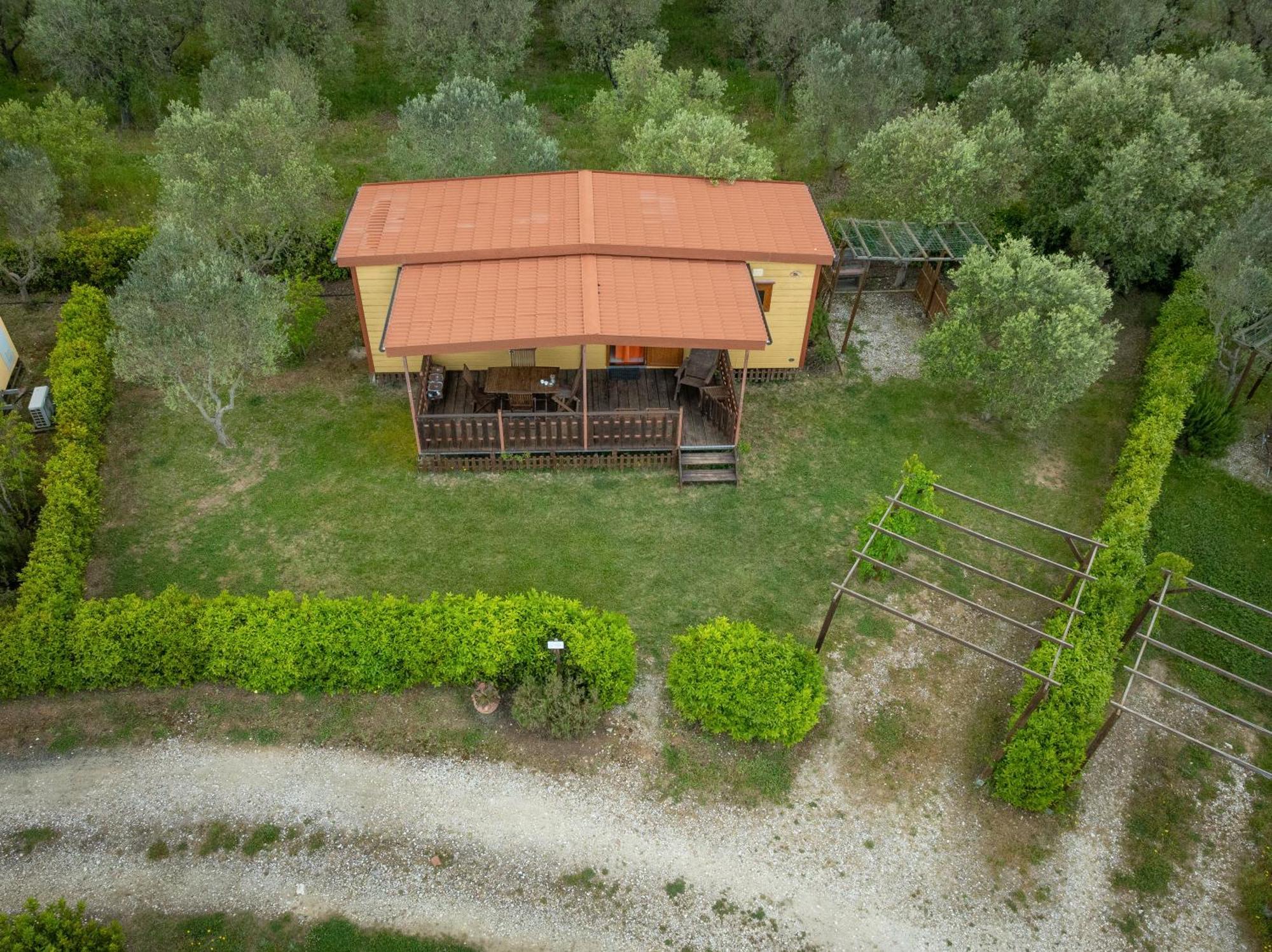 Agriturismo Nonna Stella Bibbona Buitenkant foto